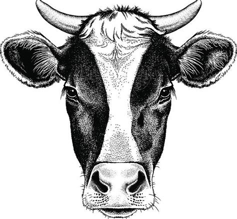 clipart of holstein cow - Google Search | Cow illustration, Cow tattoo ...