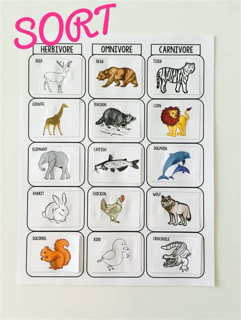 Herbivore, Carnivore, and Omnivore Sort - a fun way for for students to ...