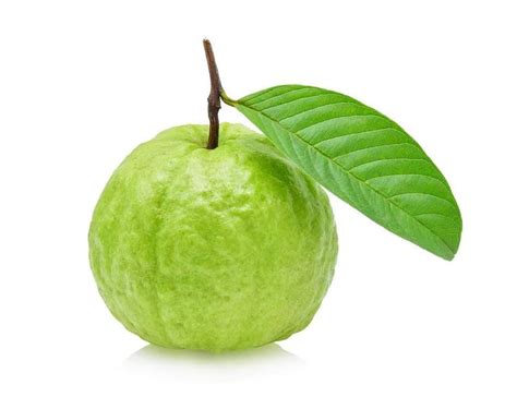 Ripe Guava, Desi Amrud, Peyara, 200g-350g - Tukwila - Online Desi Grocery Store in Germany