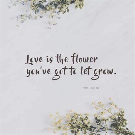 "Love is the flower you've got to let grow." | Flower quotes inspirational, Flower quotes ...