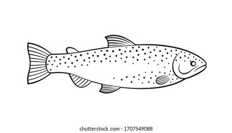 Rainbow Trout Outline Isolated Trout On Stock Vector (Royalty Free ...