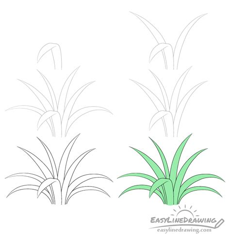 How to Draw Grass Step by Step - EasyLineDrawing