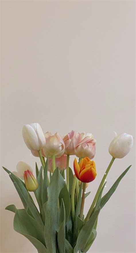 a vase filled with lots of white and orange tulips on top of a table