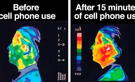 Top 20 Cell Phones With The Highest And Lowest Radiation - DavidWolfe.com