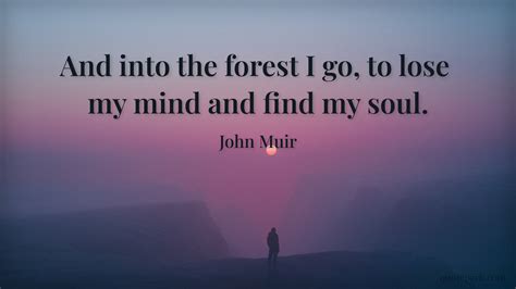 John Muir quote: “And into the forest I go, to lose my mind and find my soul.”