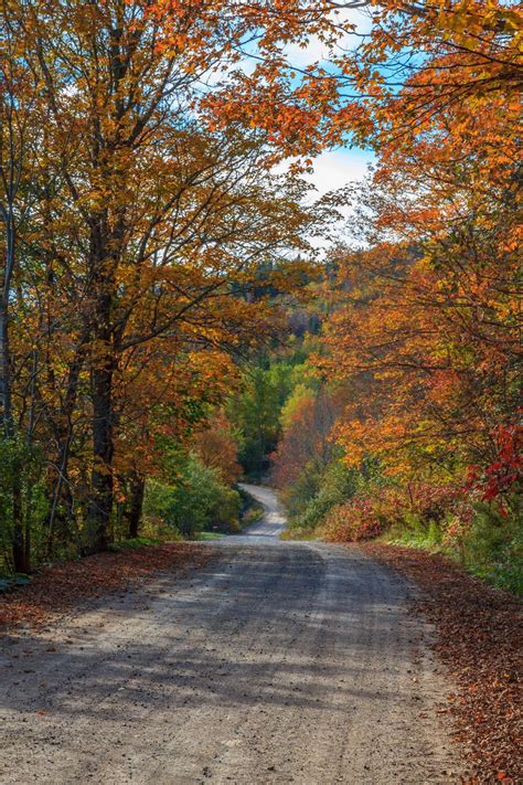 Country Road by aaron5153 on deviantART | Country roads, Country scenes ...