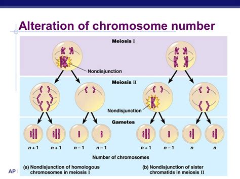 Chromosomal abnormalities