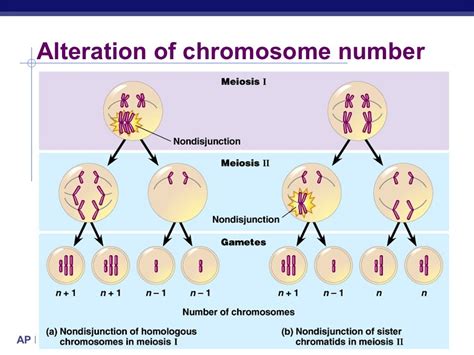 Chromosomal abnormalities