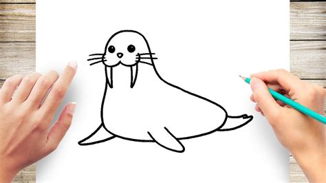 How to Draw Cute Walrus Step by Step - YouTube