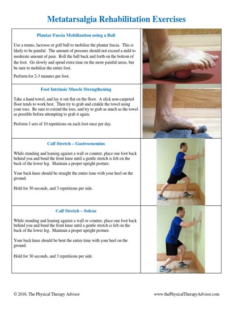 Metatarsalgia Rehabilitation Exercises | PDF | Foot | Human Leg