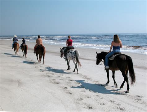 Amelia Island State Park | Florida Hikes!