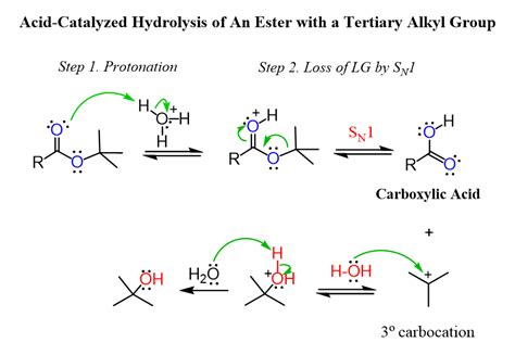 Mechanism of Acid-Catalyzed Hydrolysis of An Ester with a Tertiary ...