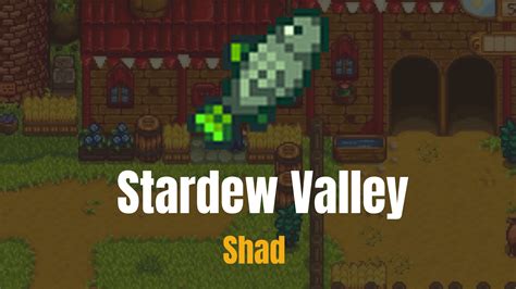 Shad Stardew Valley Full Guide - Gameinstants