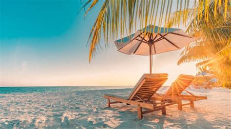 Vacation in tropical countries. Beach chairs, umbrella and palm trees... | Beautiful beaches ...