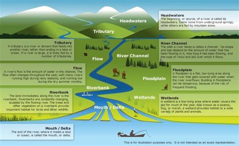 Fluvial Depositional Landforms | Types of Deltas | PMF IAS | Geography lessons, Geography for ...