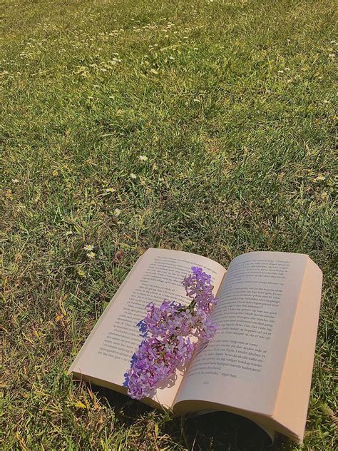 Aesthetic retro book reading outside | Flowers vintage photography | Books cottagecore France nature