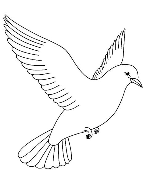 Peace Dove Coloring Page at GetColorings.com | Free printable colorings ...