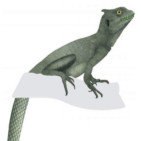 Species New to Science: [Paleontology • 2017] The Squamation of the Eocene stem-Basilisk ...