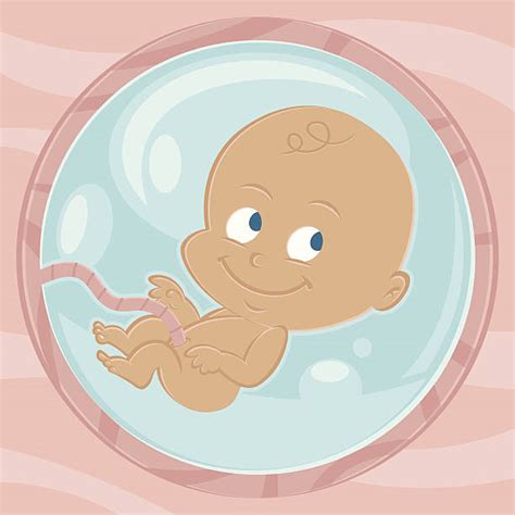 Royalty Free Baby In Womb Clip Art, Vector Images & Illustrations - iStock