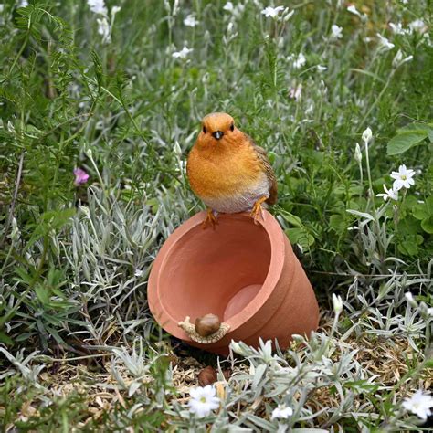 Robin Bird Feeder