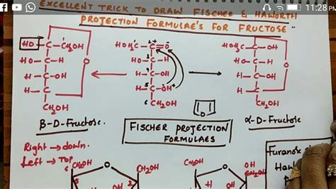 Sucrose Fisher Projection