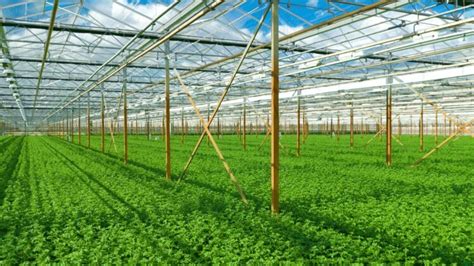 Indoor Farming is Gaining Popularity in 2021 - Growing Magazine