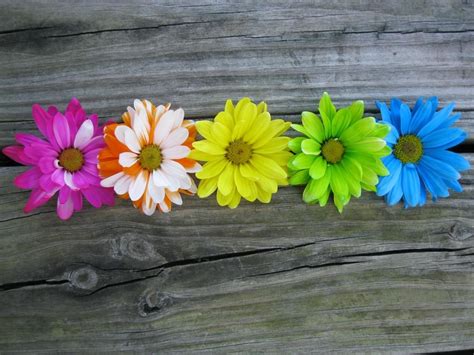 Colored Daisies 1 by RegiGirl1218 on DeviantArt | Capa facebook, Fotos de capa do facebook ...