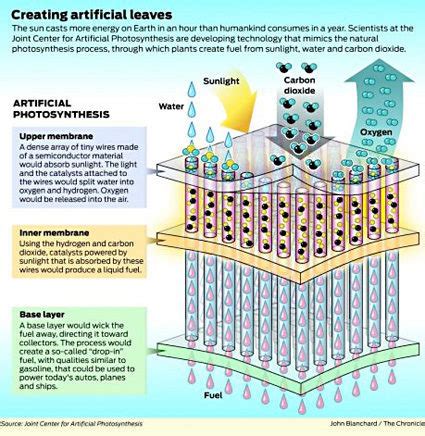 Groundbreaking examples of learning from nature to advance technology — Science & Technology ...