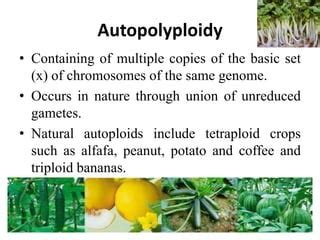 Polyploidy | PPT