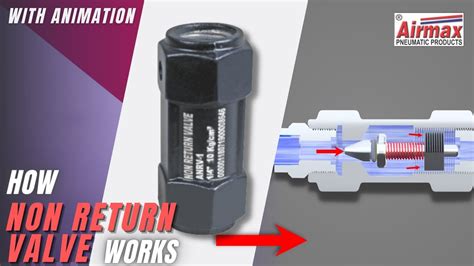 How Pneumatic Non Return Valve Works | Check Valve Working Animation ...