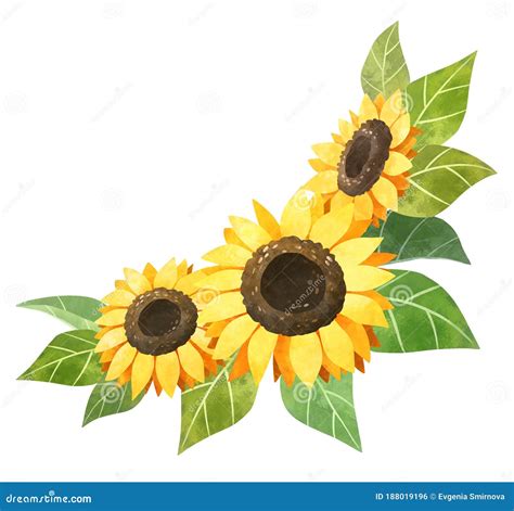 Sunflower Clipart Stock Illustrations – 2,370 Sunflower Clipart Stock ...