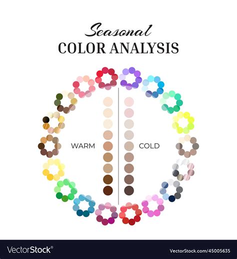 Seasonal color analysis wheel palette with cold Vector Image