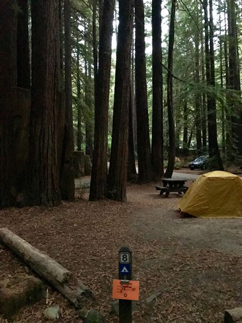 Burlington Campground — Humboldt Redwoods State Park | Weott, CA