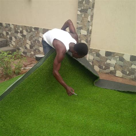 Carpet Grass Installation - Business - Nigeria