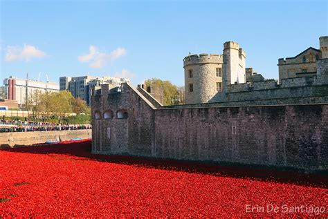 The Tower of London Poppies Installation - No Checked Bags