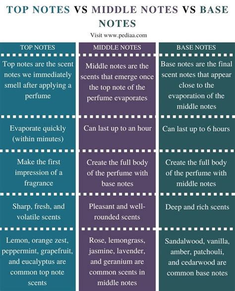 What is the Difference Between Top Notes Middle Notes and Base Notes ...