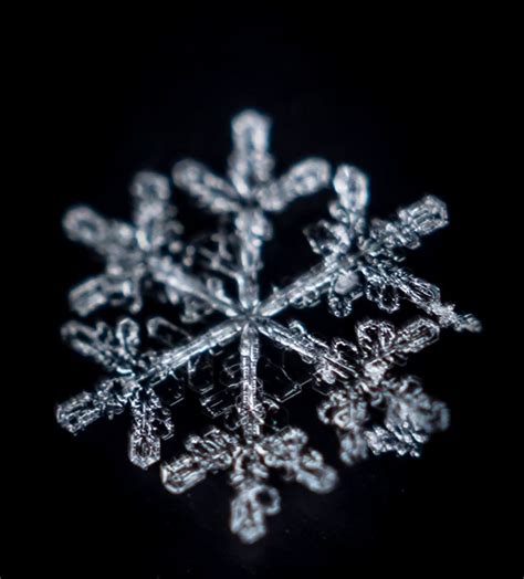 Snowflake | Symbols, Snowflakes, Letters