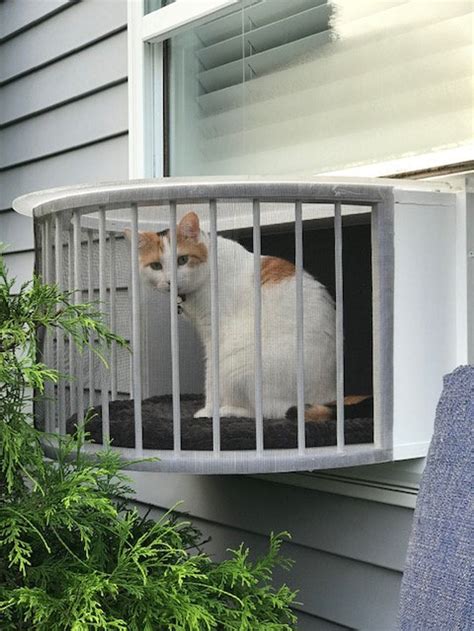 Cat Solarium-the Veranda Package the Ultimate Cat Window Box | Etsy | Cat window, Cat patio, Cat ...