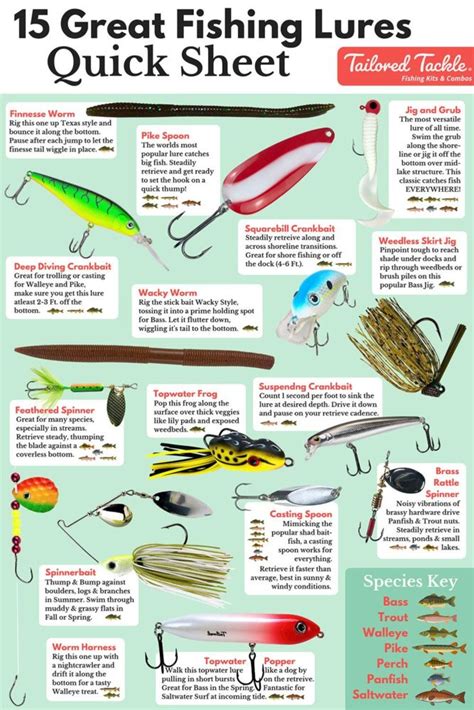 Different types of fishing lures and their uses – Tetra Hook