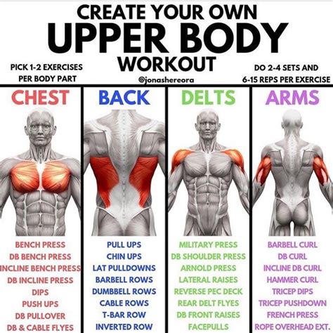 Upper Body Workout Chart