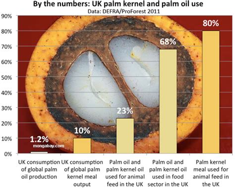 All about Palm Oil: Palm Kernel and Palm Kernel Oil