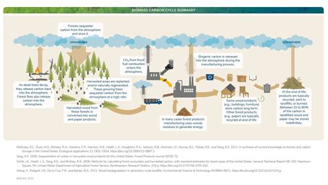 Biomass Carbon Cycle Diagram | NCASI