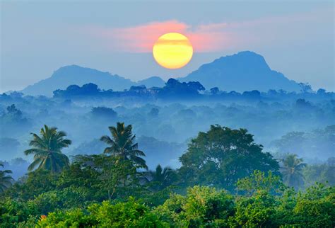 nature, Landscape, Mist, Sunset, Mountain, Blue, Forest, Palm Trees, Tropical Wallpapers HD ...