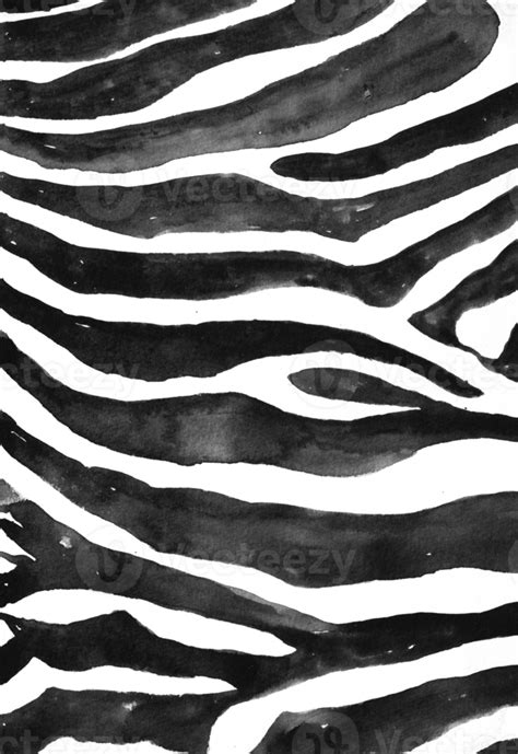 Black and white striped zebra skin texture 29249640 PNG