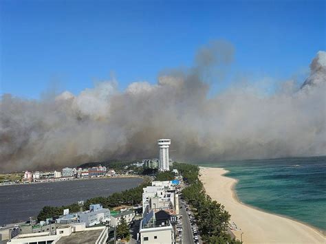 Photos: South Korea city wildfire fanned by strong winds, 300 residents ...