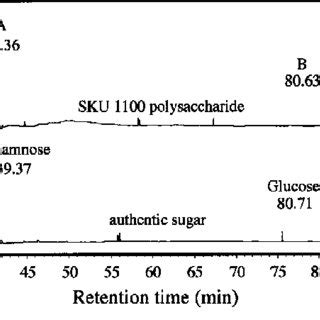 Gas Chromatograms of the Alditol Acetate Derivatives Derived from the ...