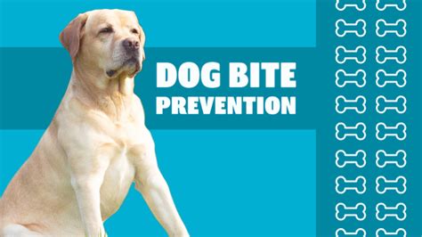 Dog Bite Prevention Week - How to spot it and how to stop