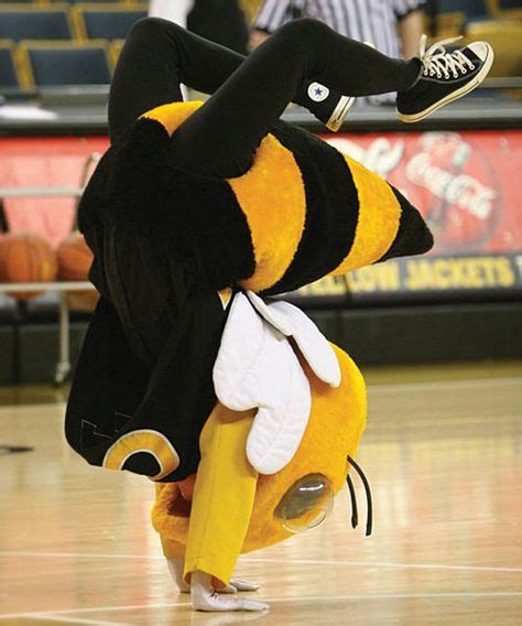 35 Buzz, Mascot of GA Tech ideas | mascot, georgia institute of technology, georgia tech