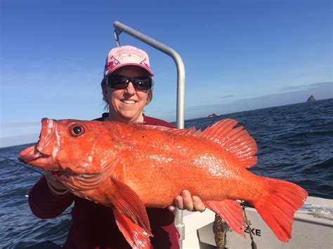 Brookings, Oregon, Fishing Charters: Giant vermilion rockfish caught by Brookings Fishing Charters