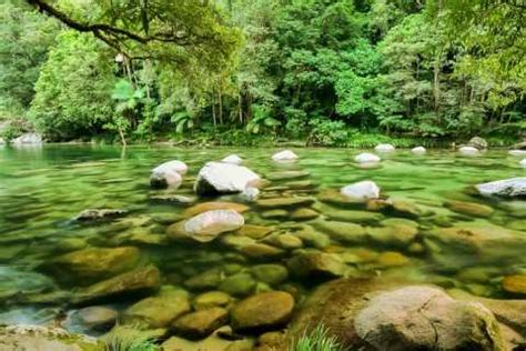 Mossman Gorge, Daintree National Park - Book Tickets & Tours | GetYourGuide